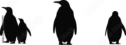 Penguin silhouette illustration, standing penguins vector, wildlife animal shapes, Antarctic bird design, different penguin sizes, black bird silhouettes