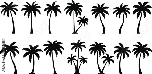Set of palm tree silhouettes, tropical tree icons, coconut palm vector, black palm illustrations, beach summer vacation tree clipart