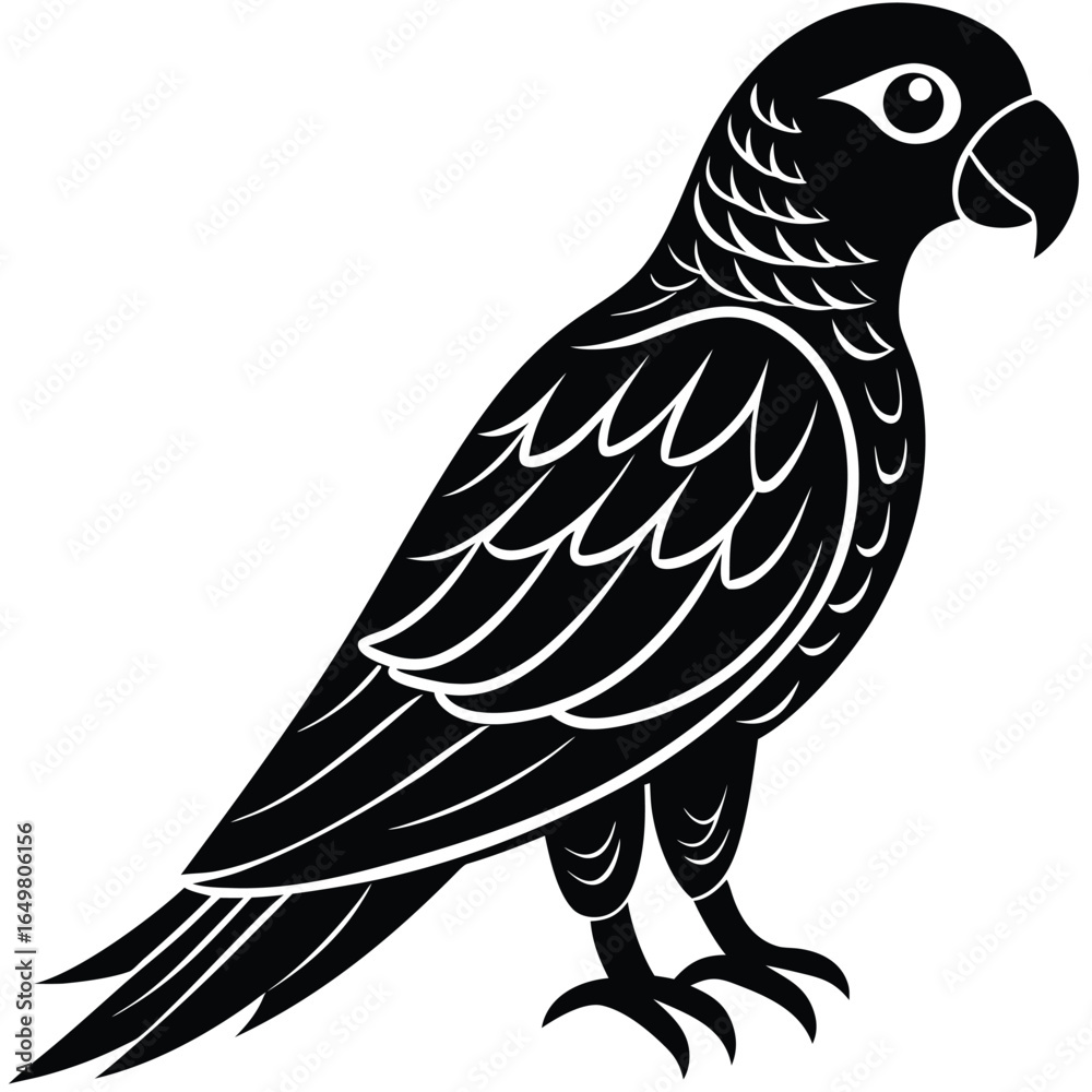 Obraz premium Parrot Silhouette