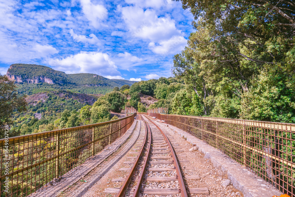 Fototapeta premium Ferrovia nel bosco di Niala a Ussassai, Sardegna