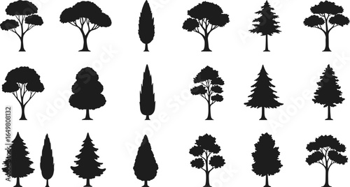 Tree silhouette collection, black tree icons, pine and deciduous trees, isolated forest vector set, nature illustration, landscaping, woodland graphic