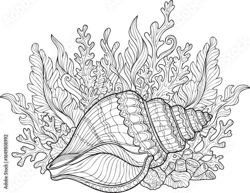 Detailed Hand-Drawn Seashell with Seaweed