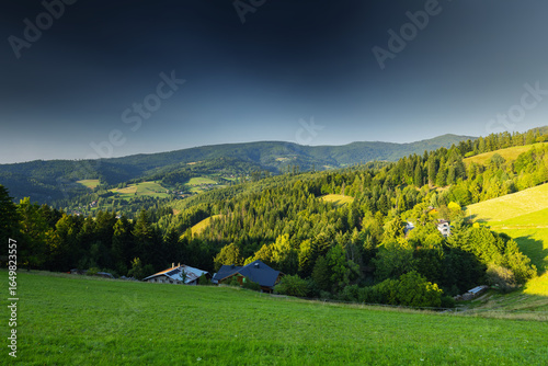 Fototapeta Naklejka Na Ścianę i Meble -  Górski krajobraz wśród wzgórz i bujnych zielonych pól, złota godzina, naturalne piękno, Beskidy, Cieńków, Polska