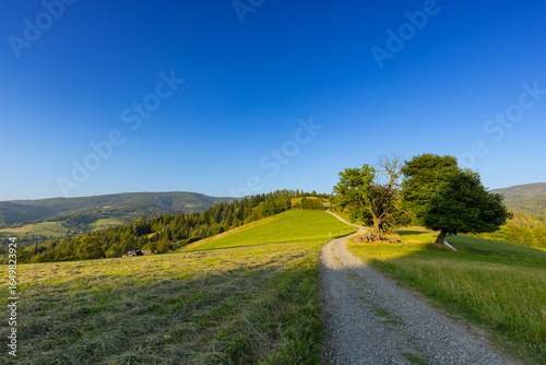 Fototapeta Naklejka Na Ścianę i Meble -  Górski krajobraz wśród wzgórz i bujnych zielonych pól, złota godzina, naturalne piękno, Beskidy, Cieńków, Polska