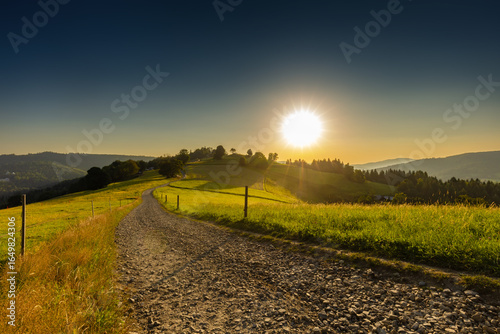 Fototapeta Naklejka Na Ścianę i Meble -  Górski krajobraz wśród wzgórz i bujnych zielonych pól, złota godzina, naturalne piękno, Beskidy, Cieńków, Polska