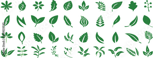 Leaf icons set ecology nature element, green leafs, environment and nature eco sign. Leaves on white background – for stock 
