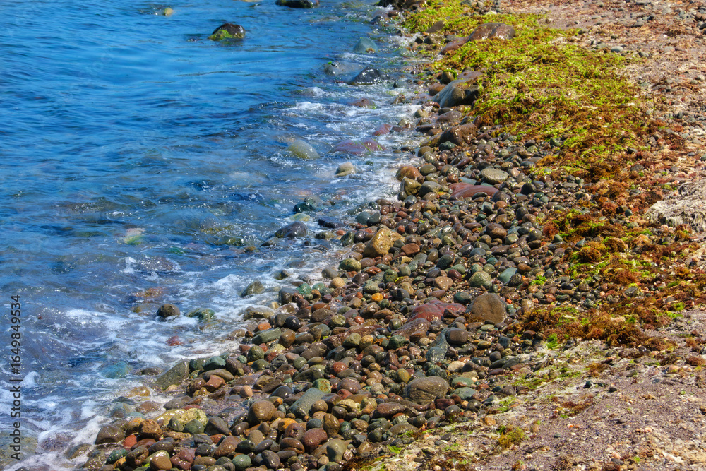 Rocky shoreline with solorful pebbles, seaweed and gentle sea waves. Close-up view of a rocky beach with smooth pebbles and gentle sea waves washing ashore under natural daylight. Rocky shoreline with solorful pebbles, seaweed and gentle sea waves. Close-up view of a rocky beach with smooth pebbles and gentle sea waves washing ashore under natural daylight.
