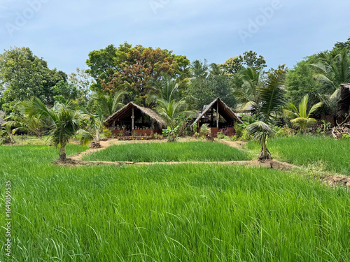 Small village in the Sri Lankan country side.