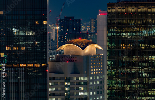 Osaka skyscrapers at night from Kuchu Teien viewpoing