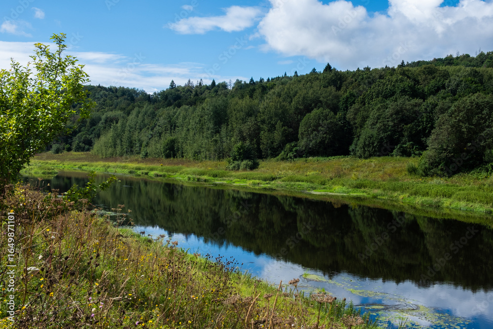Scenic summer river landscape in Russia with calm water reflecting lush green forest and cloudy blue sky, wildflowers in the foreground, peaceful nature travel destination. Scenic summer river landscape in Russia with calm water reflecting lush green forest and cloudy blue sky, wildflowers in the foreground, peaceful nature travel destination.