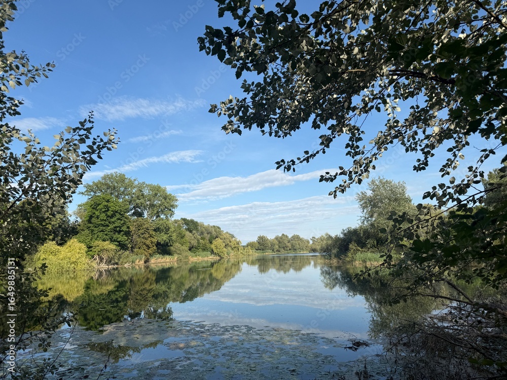 Obraz premium Lake water peace quiet recreation fishing reeds nature water lilies relaxation wellness fish pond trees meadow local recreation See Wasser Ruhe Stille Erholung Angeln Schilf Natur Seerosen Entspannung