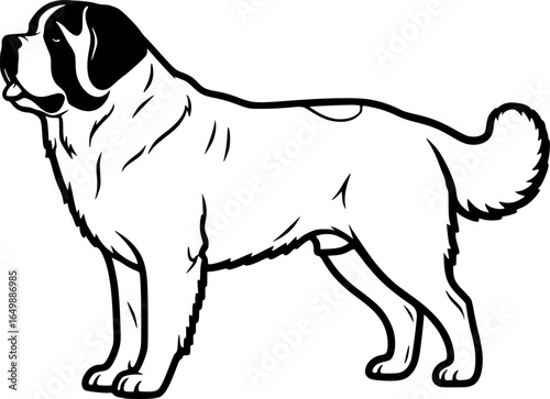 Saint bernard dog standing side view outline vector
