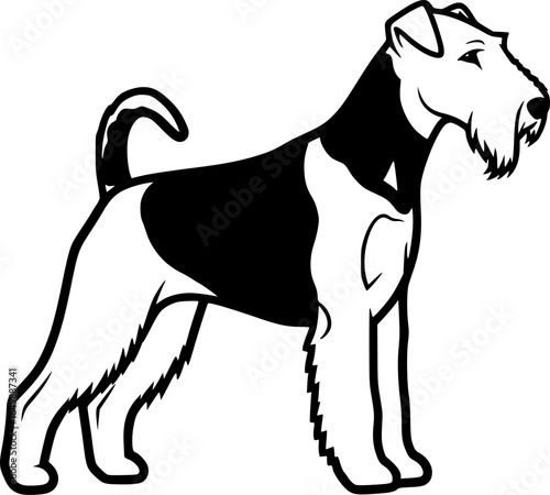 Airedale terrier dog standing side view outline vector
