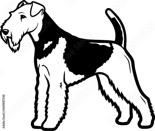 Airedale terrier dog standing side view outline vector
