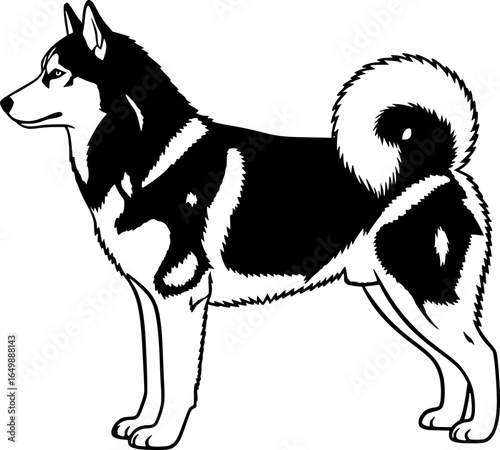Siberian husky dog full body standing side view outline vector

