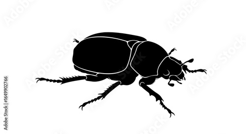 elegant black beetle silhouette transparent background for modern designs