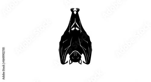 elegant black bat silhouette transparent background for modern designs