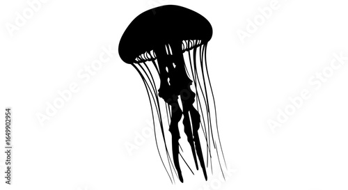 elegant black jellyfish silhouette transparent background for modern designs