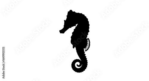 elegant seahorse silhouette transparent vector for modern designs presentations