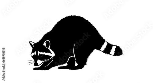 elegant raccoon silhouette transparent background for minimalist designs