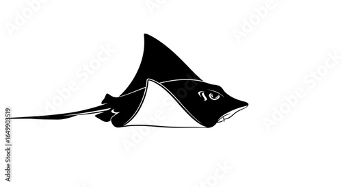 elegant stingray silhouette transparent vector for design projects