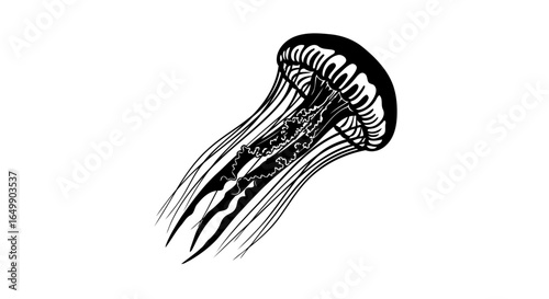 elegant transparent black jellyfish illustration for modern designs