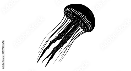 elegant transparent black jellyfish vector perfect for modern designs presentations