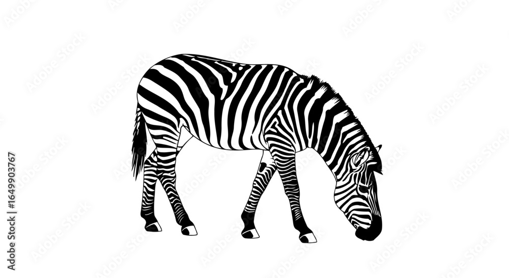 Obraz premium elegant zebra vector transparent background for modern designs presentations