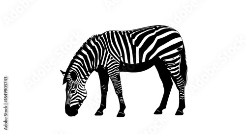 elegant zebra silhouette transparent vector graphic for modern designs