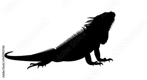 iguana silhouette transparent png for website design mockups