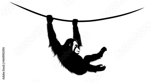 orangutan silhouette transparent background for design overlay projects
