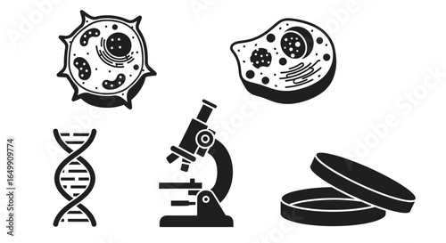 Microscopic exploration: A collection of scientific illustrations featuring cellular structures, a DNA strand, a microscope, and petri dishes, all vital tools in the field of science