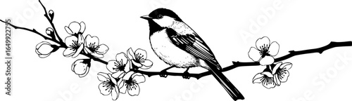 chickadee line art silhouette vector illustration	