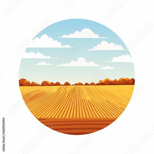 harvested empty agricultural field in autumn with sky isolated on white