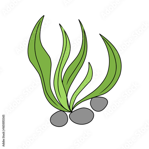 green seaweed vector