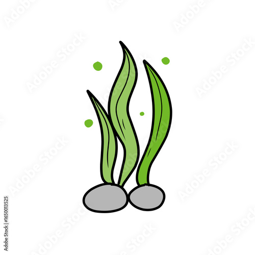 green seaweed vector