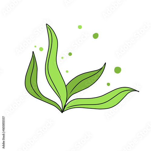 green seaweed vector