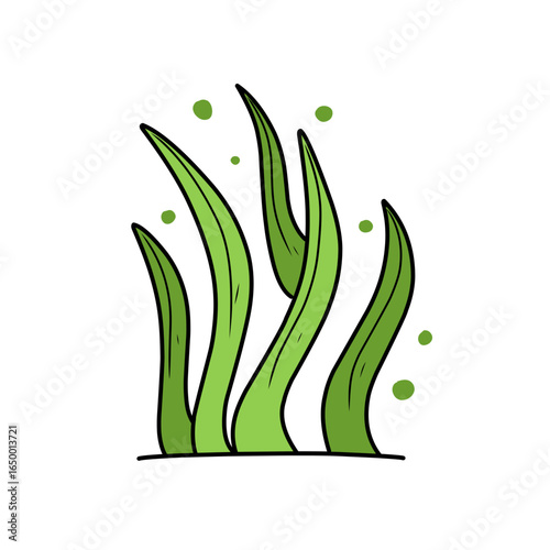 green seaweed vector