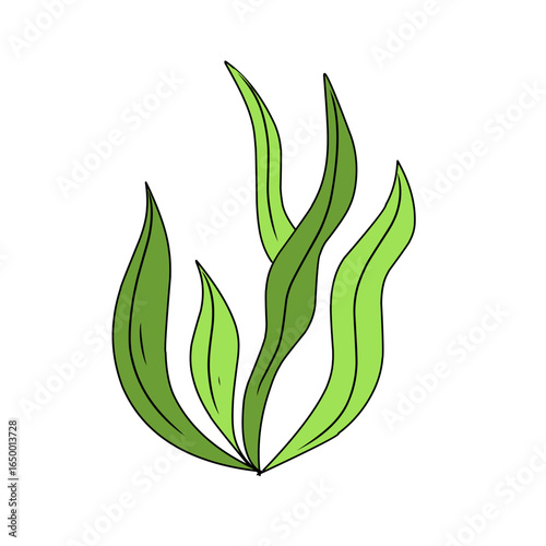 green seaweed vector