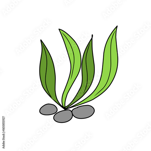 green seaweed vector