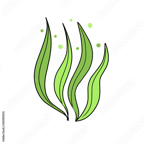 green seaweed vector