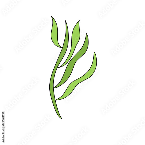 green seaweed vector