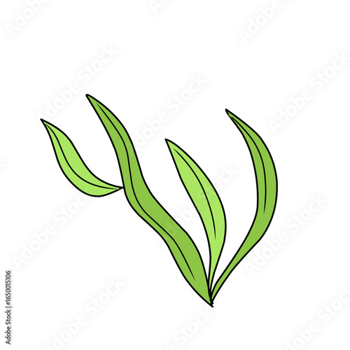 green seaweed vector