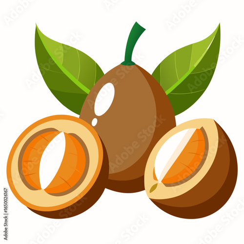 vector of sapodilla