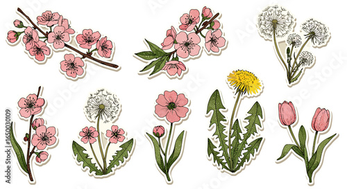 A set of handdrawn spring flower stickers featuring cherry blossoms dandelions and tulips with a vintage dotted texture.
