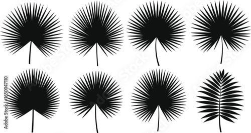 Sammlung von Silhouette-Blattelementen. Eine Reihe von tropischen Pflanzen, Laub-Ast, Palmen, Monstera-Blätter, Blattwerk. Handgezeichnet von botanischen Vektorgrafiken für Dekoration, Website, Grafik