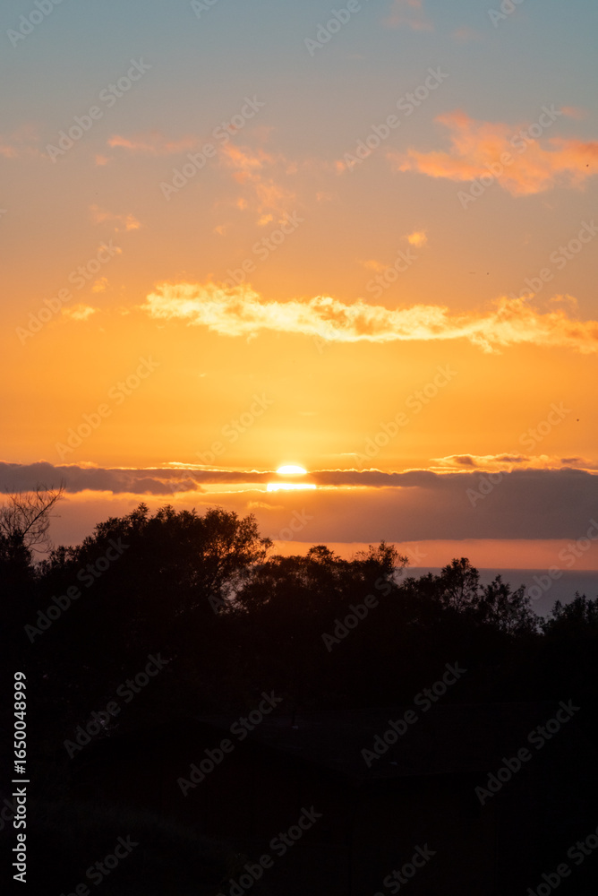 Fototapeta premium sunset over the ocean and trees