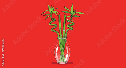 Lucky Bamboo Arrangement in Vase