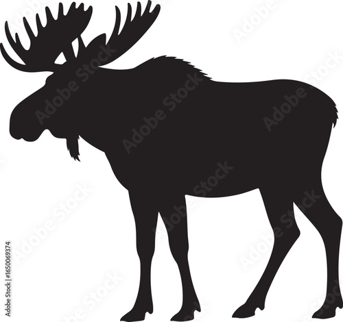 Silhouette of a large male moose with impressive antlers standing on a white background animal wildlife