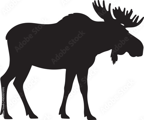 Black silhouette of a standing moose with large antlers on a white background animal wildlife